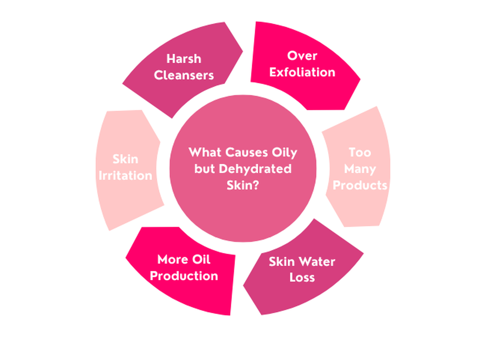 Oily but dehydrated skin cycle showing harsh cleansing water loss irritation and increased oil production